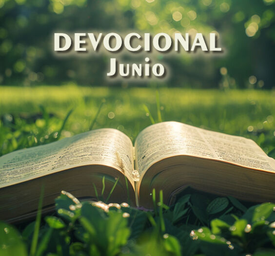 devo1